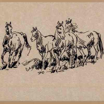 Horses