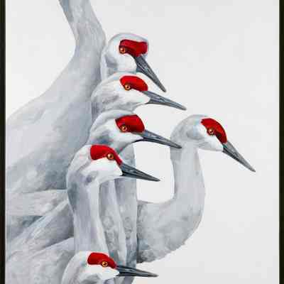 Seven Individuals