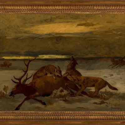 Downed Elk