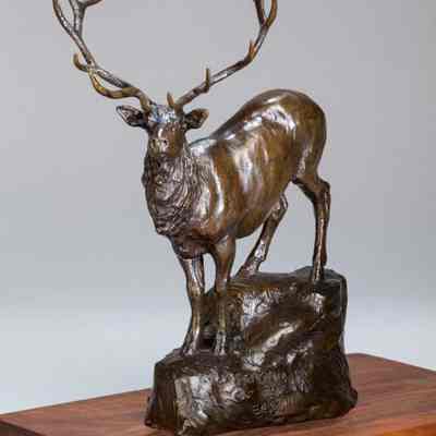 Season of the Elk