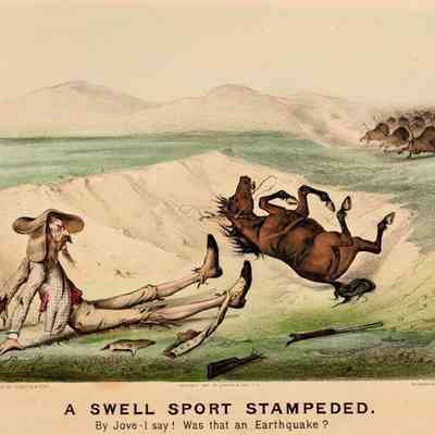 A Swell Sport Stampeded