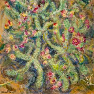 Bush Cactus in Bloom
