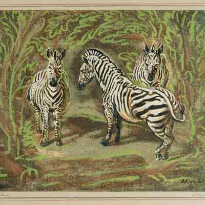 Zebras