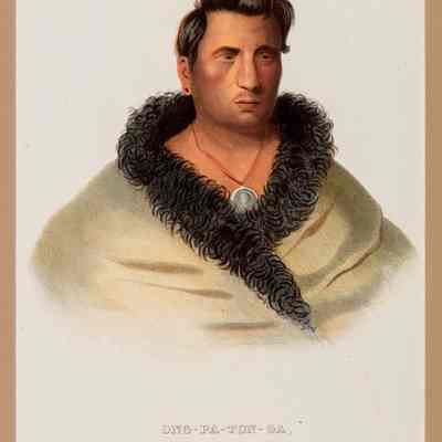 Ong-Pa-Ton-Ga an Omaha Chief
