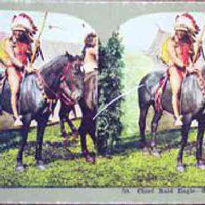 Chief Bald Eagle-Sioux Indians