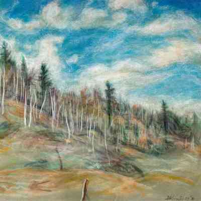 Trees on Ridge and Clouds with Silver Aspens