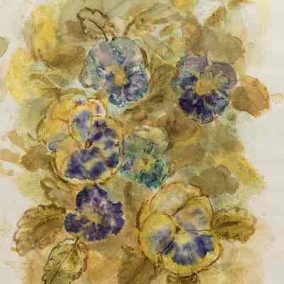 Pansies