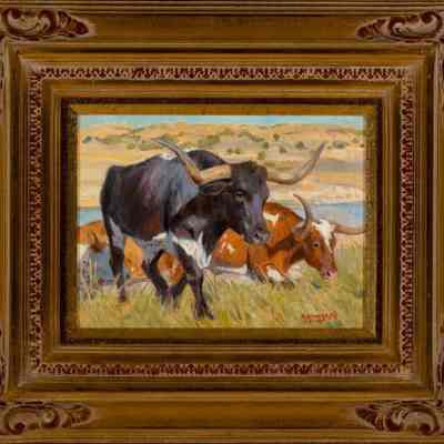 Longhorns