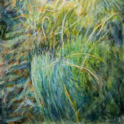 Grasses & Grey-Green Weeds with Back Lighting