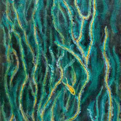 Seaweed and Fish