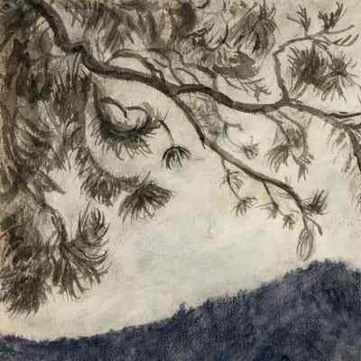 Pine Branch and Mountain