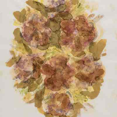 Leaf and Flower Prints