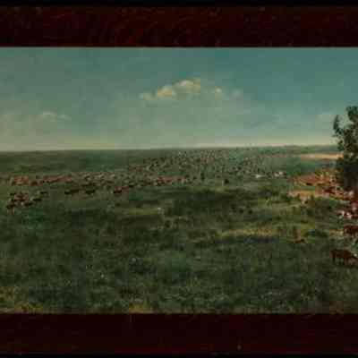 Rounding Up A Herd on a Texas Ranch