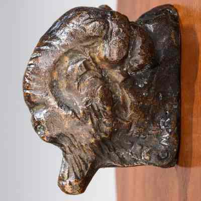 Buffalo Head