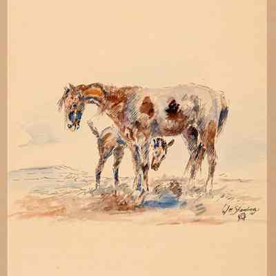 Mare and Colt