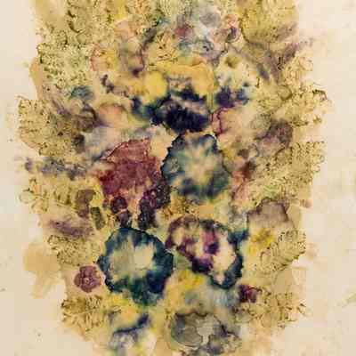 Stains in Swirls, w/Geranium, Phlox