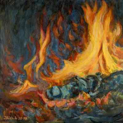 Fireplace Fire in Des Moines