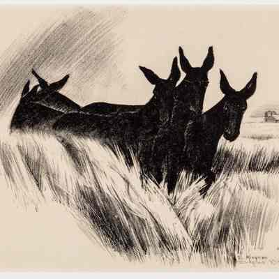 Untitled (Oklahoma Mules)