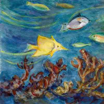 Tropical Fish in Hotel Lobby - Kona