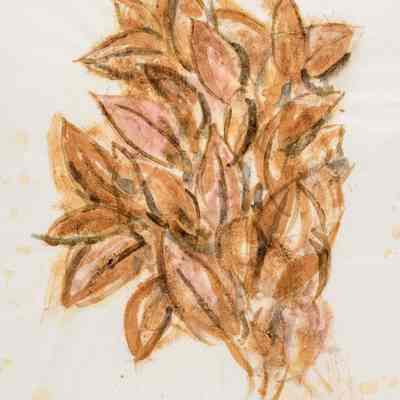 Leaf and Flower Prints