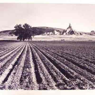 Chimney Rock-From the South Across an Irrigated Beet Field