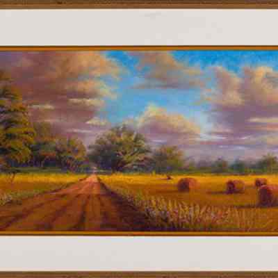 Spring Hill Sunlight
