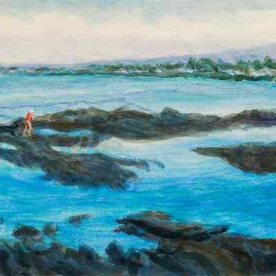 Rocky Beach - by Keauhou Hotel near Kona