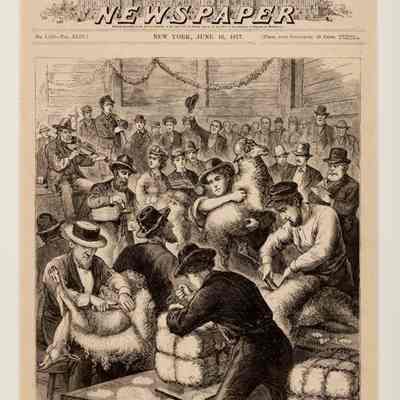Nebraska - Sheep Shearing Festival of the Southern Nebraska Wool-Growers' Association at Beatrice, May 2nd