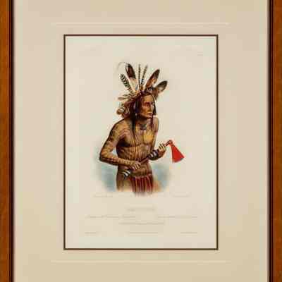 Mato-Tope, Adorned with the Insignia of his Warlike Deeds