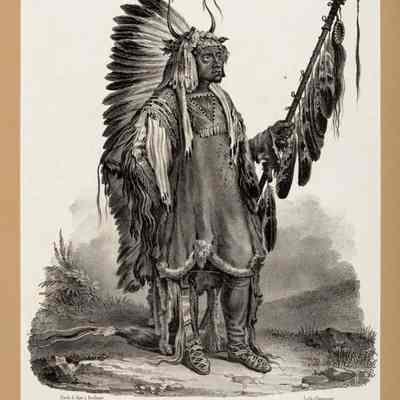 Mandan Chief