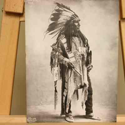 Blackbird Chief