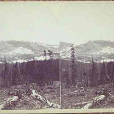 Horseshoe Mountain. Near Fair Play