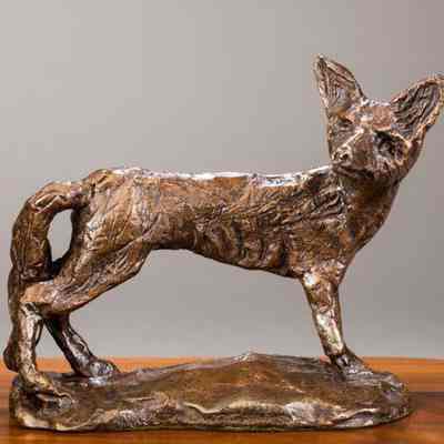 Desert Coyote (Coyote)