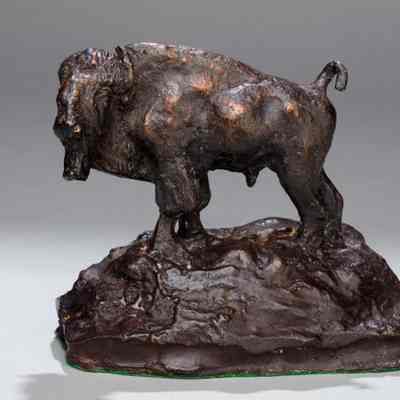 Buffalo