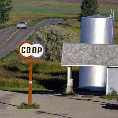 Coop Gas, Near Minot, N.D.
