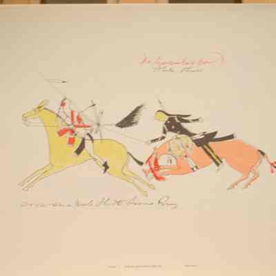 Crow on a Mule Shoots Sioux Pony