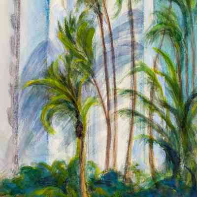 Palm Trees - International Hotel Wailea