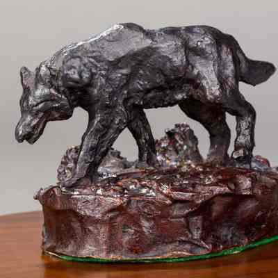 Wolf