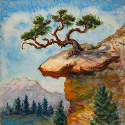 Lone Pine on Rocks