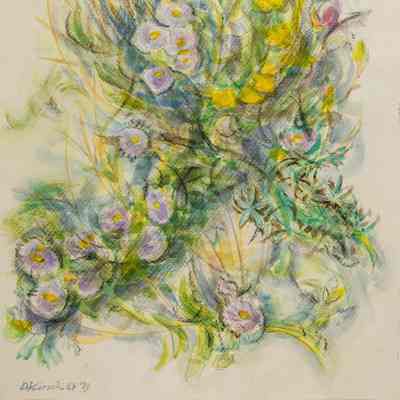 Mountain Wild Flowers - Near Lake Isabel