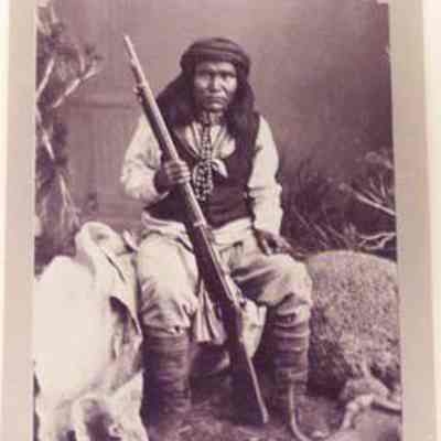Apache Scout