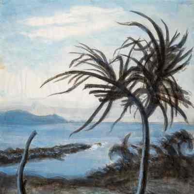 Maui Trees in Wind & Waterfront at Kahana Beach Park