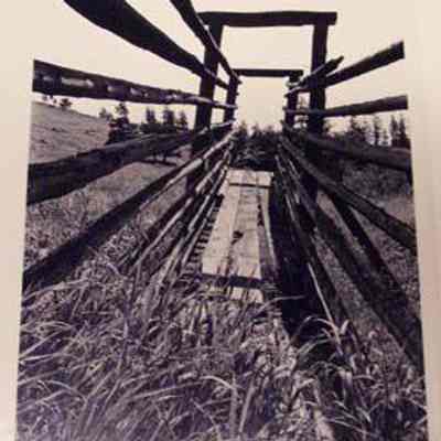 Loading Chute