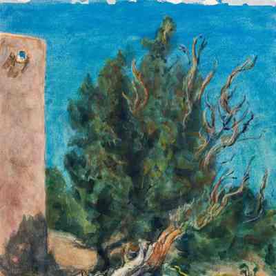 Cedar by Adobe Wall