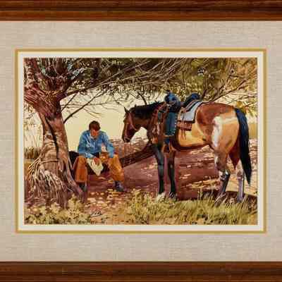 The Shade Tree