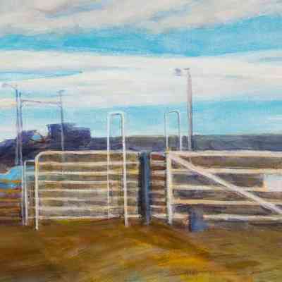 Squeeze Shoot and Ranch Fencing
