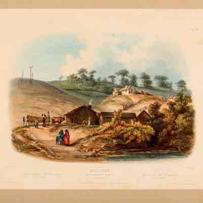 Bellevue