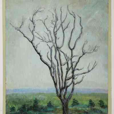 Bare Tree