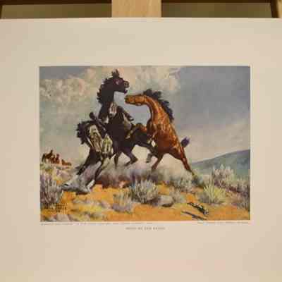 Fight on the Range