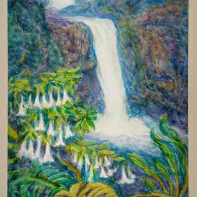 Rainbow Falls and Angel Trumpet - Near Hilo